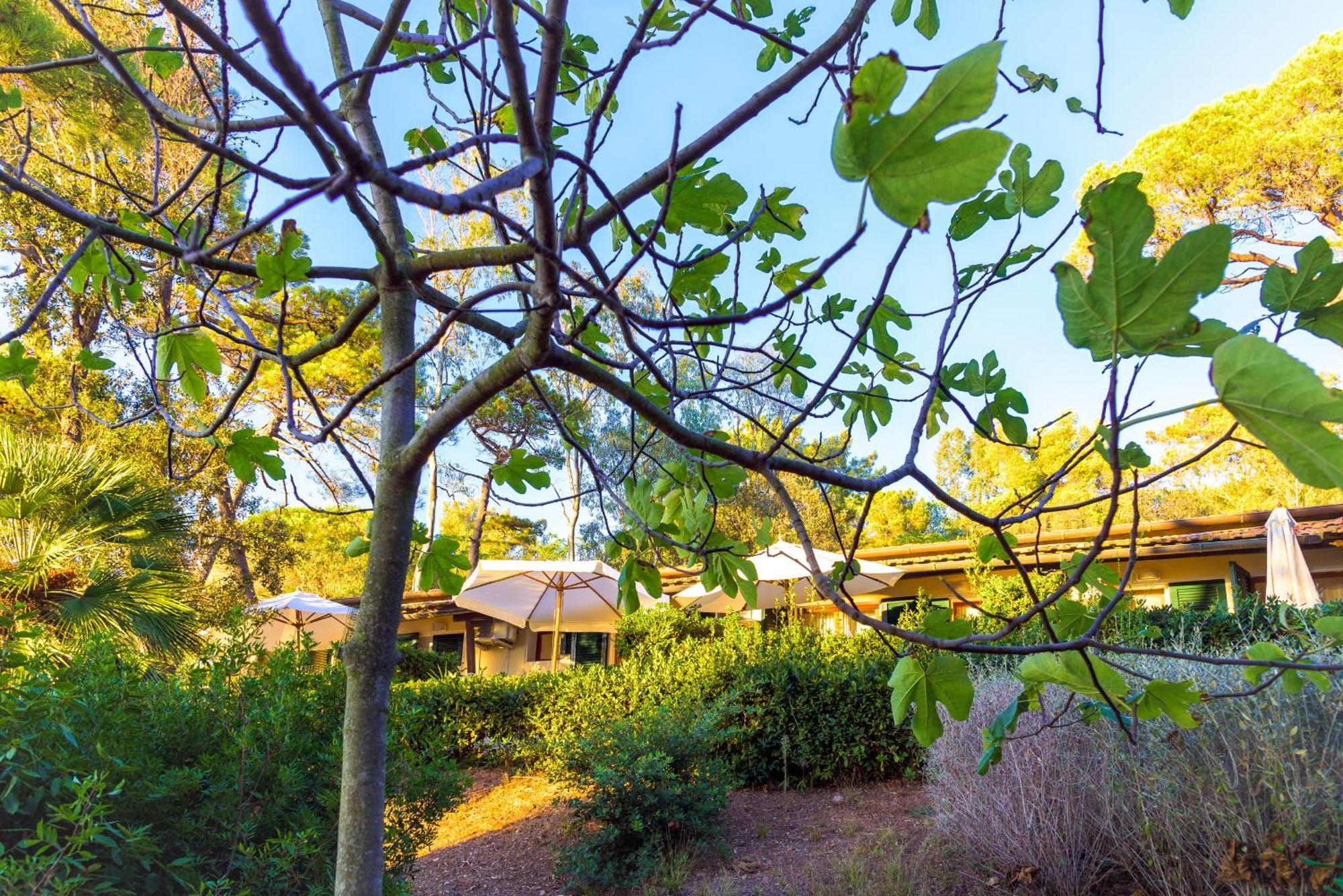 Hotel Villa Ottone Portoferraio Esterno foto